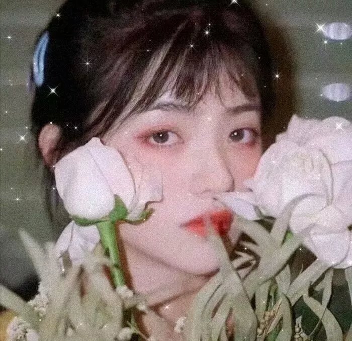 姐妹无常