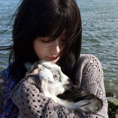绘图师的合约